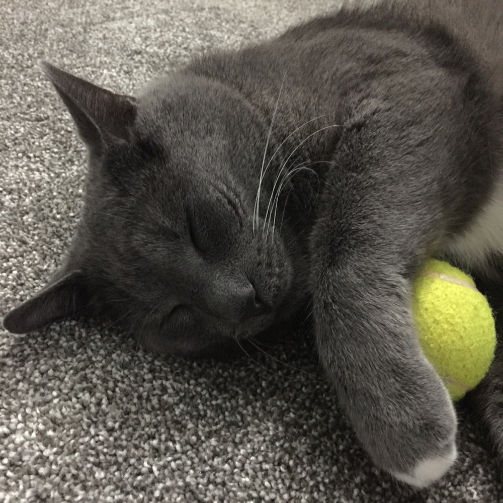 Meet your Posher, Jen